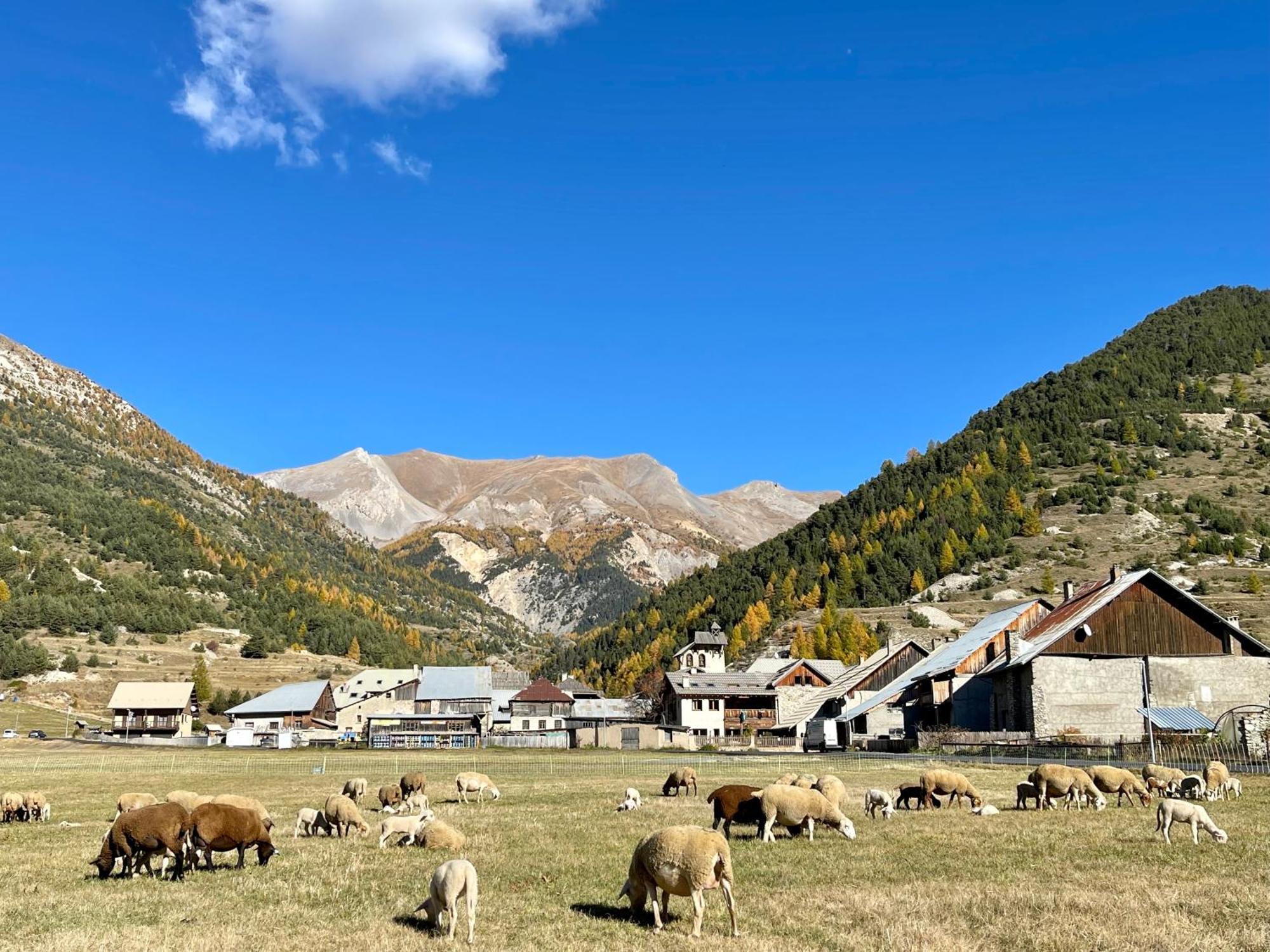 Gite Montagne 1 A 25 Places "Chalet Coste Belle" セイヤック エクステリア 写真